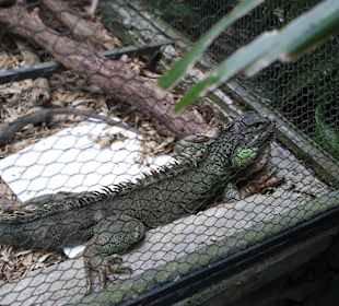 Geführte Touren Andrea Rodrige