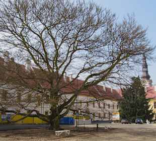 Zámecké nádvoří