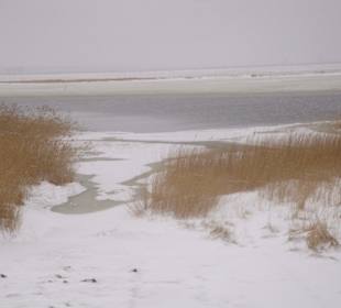 Am Bodden