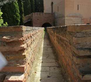 Wasserrine