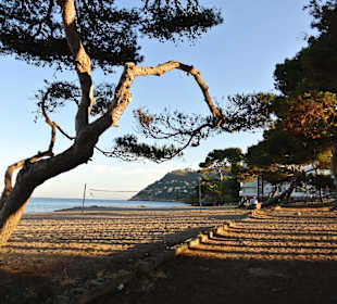 Strand