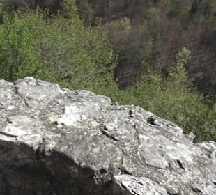 Ruine Maisenburg