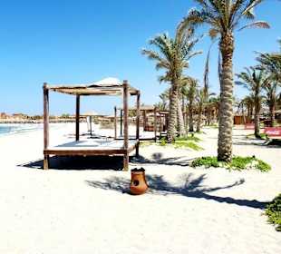 Marsa Alam - Delfinschwimmen Yasser-Delfine Hurghada