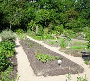 Spaziergang durch den Botanischen Garten Bremen