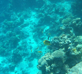 Experience unter Wasser