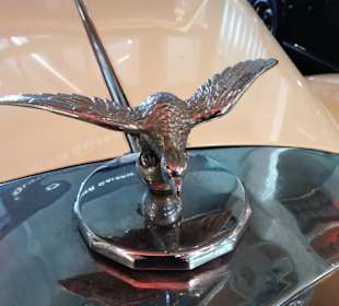 Kühlerfigur auf einem Oldtimer