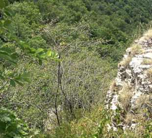 Rötelstein Traifelberg