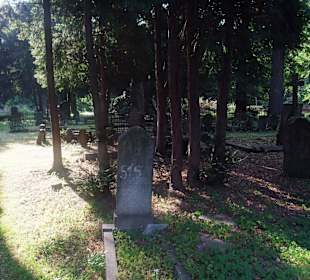 Cmentarz protestancki