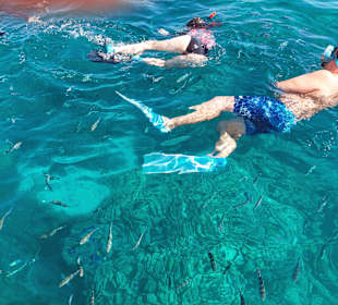 Delfin Tour Hurghada