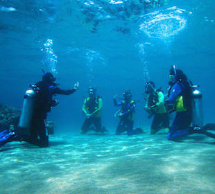 Ausbildung am Hausriff