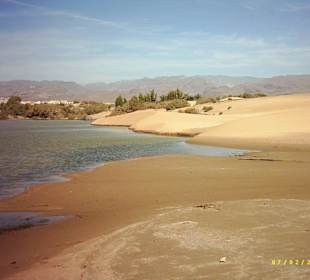 Dünen von Maspalomas
