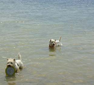 Strand von Bibione 06-2010