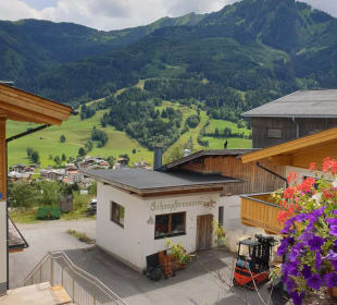 Ausblick