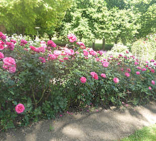 Westpark