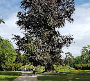 Schloss Muskau & Muskauer Park