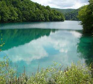 wunderschöne Natur pur