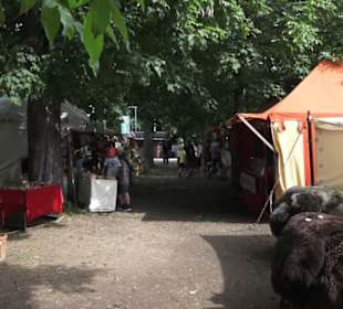 Jahrhundertmarkt und Ritterturney