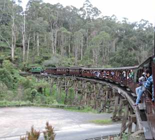 Mit der Puffing Billy Dampfbahn unterwegs