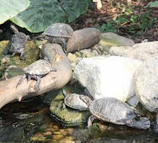 ZOOM Erlebniswelt Gelsenkirchen