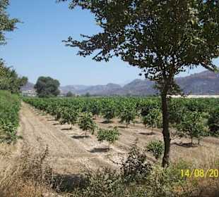 Ein Ausflug der lohnt. Vermeide die Mittagshitze!