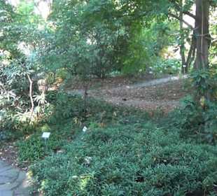 Botanischer Garten