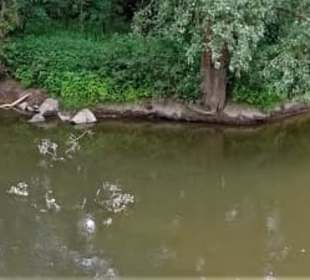 Panoramablick auf den Mainzusammenfluss