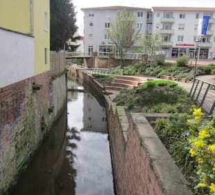 Die Queich im Innenstadtbereich