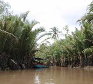 Mangrovenurwald