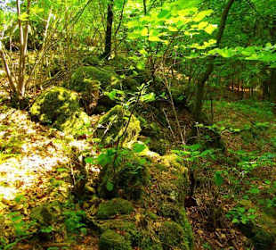 Wanderung zum Bärenfels