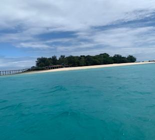 Prison Island