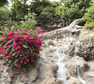 Wunderschöne Gehege