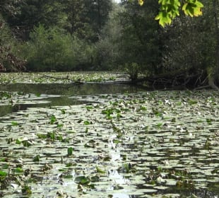 Schaichtalweg - Schlüsselsee
