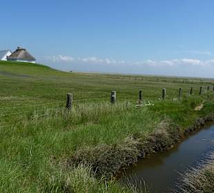 Hamburger Hallig