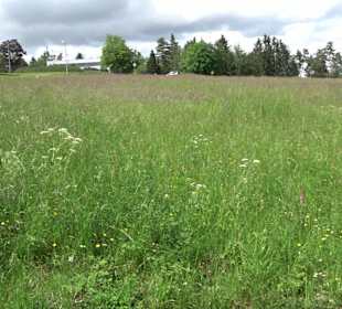 Vital und Wellnesshotel Albblick