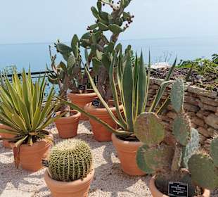 Umgebung + Botanischer Garten Baltschik + Schloss