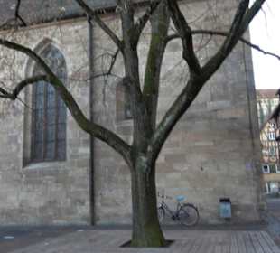 Jakobuskirche