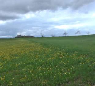 Premiumwanderweg Hochgebürzelt
