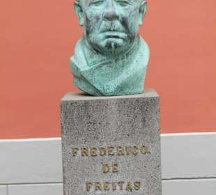 Frederico de Freitas
