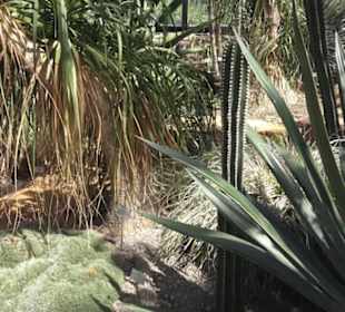 Botanischer Garten der Universität Zürich