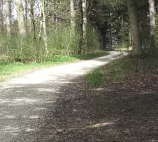 Wanderweg Hochgehswiggert