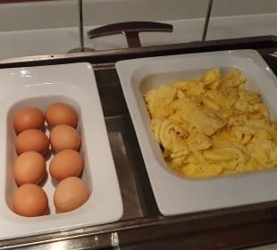 Gastro