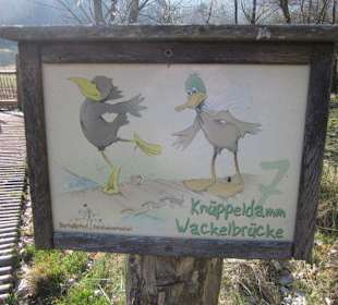 Der wunderschöne Sandwiesenweiher