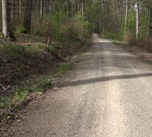 Walderlebnisweg Rottenburg