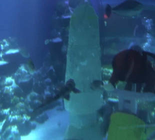 Lego X-Treme - Legoland Atlantis by SEA LIFE