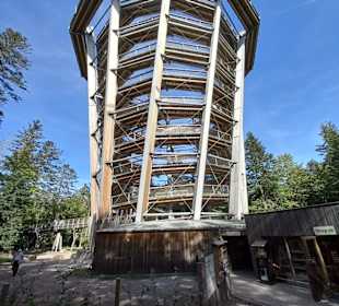 Baumwipfelpfad Schwarzwald