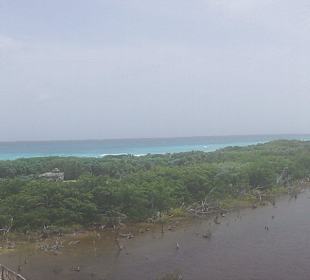 Blick über Naturpark Punta Sur