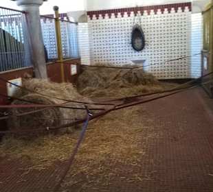 Leinen werden getrocknet