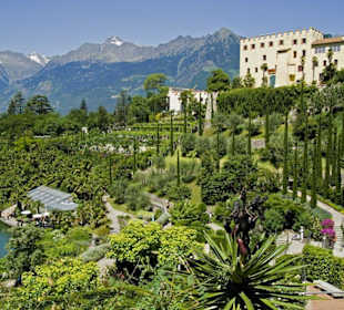 Blick auf Schloss und Teil des Gartens