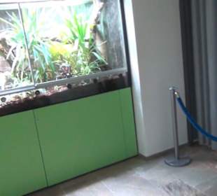 Niedersächsisches Landesmuseum