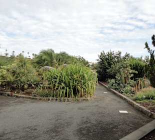 Parque Botánico de Maspalomas